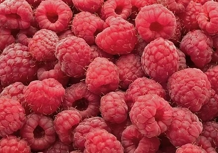 ARO Frozen Fruit - Rasberry 1kg ( Phúc bồn tử Trái ĐL )