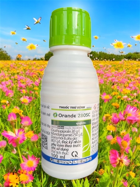 ORANDE 280SC