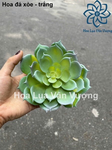 Hoa đá xòe - trắng - Hoa đá - Hoa Lụa Vân Vượng