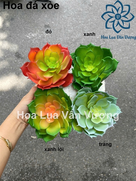 Hoa đá xòe - Hoa đá - Hoa Lụa Vân Vượng