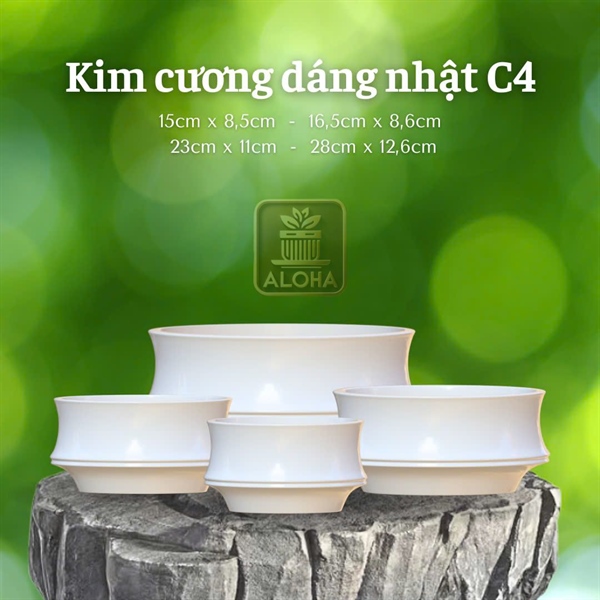 CHẬU KIM CƯƠNG DÁNG NHẬT