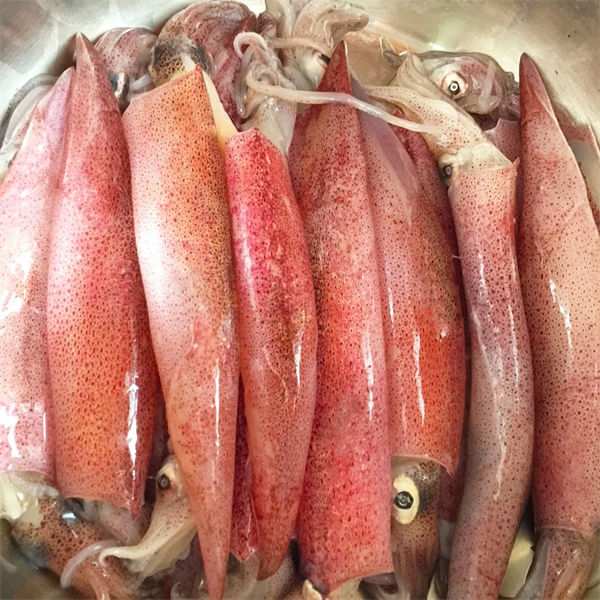 Mực ghim Mino 9/12 300g