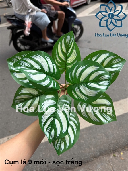 Cụm lá 9 mới - Lá cành ngắn - Hoa Lụa Vân Vượng