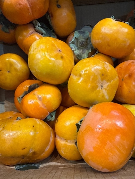 Hồng Giòn