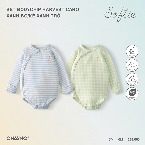 BC0225 -3M/6M Set bodychip Harvest