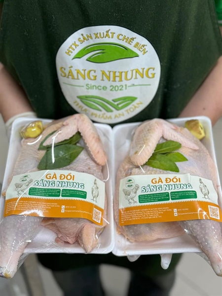 TS - Gà đồi Sáng Nhung