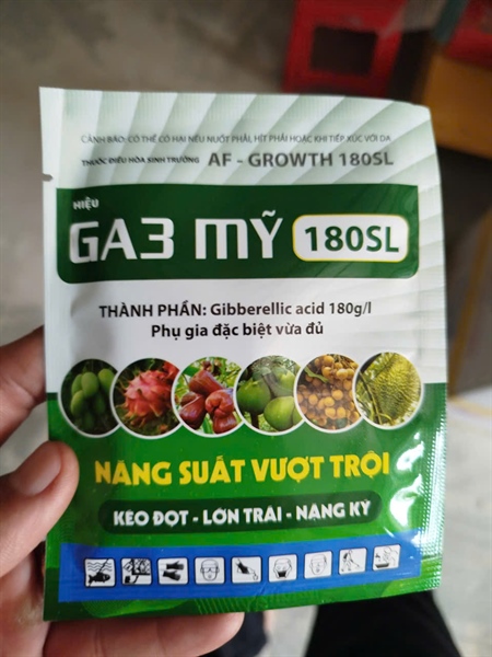 GA3 MỸ GÓI