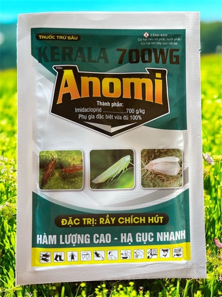 KERALA 700WG (ANOMI)