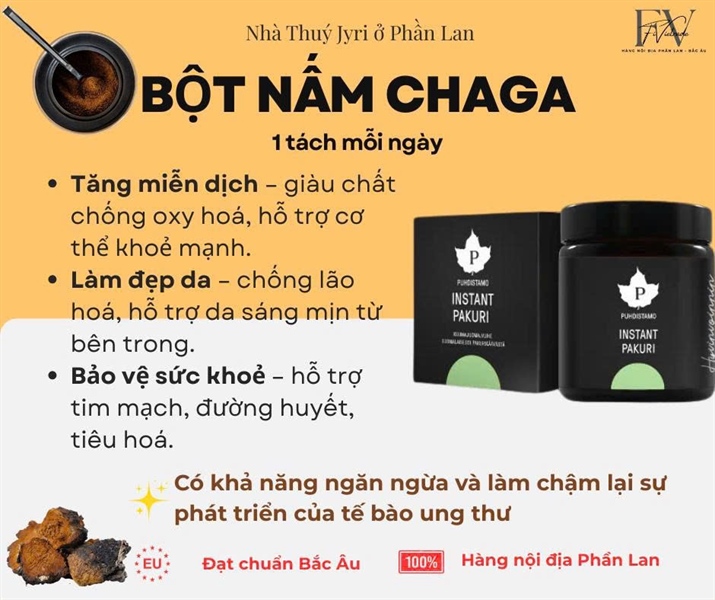 Bột nấm chaga