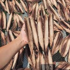 Cá nục tách xương đỏ 500g