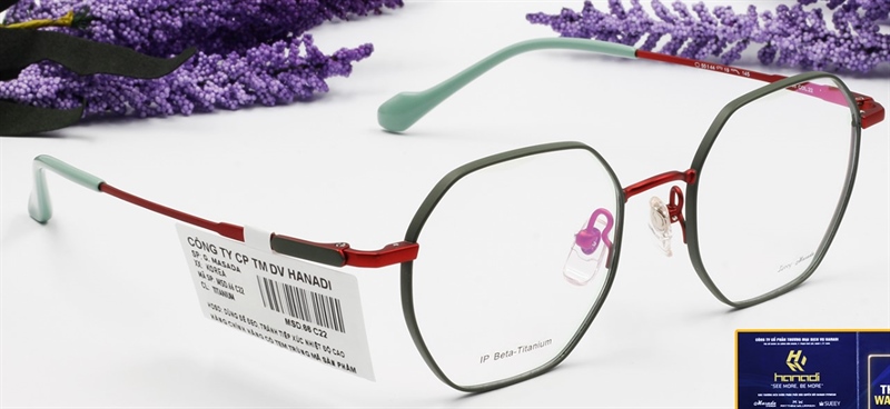 Kính TITANIUM MASADA MSD.66 C22