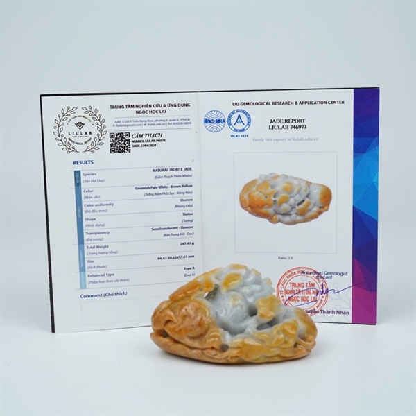 Cụ tỳ hưu cẩm huyết My (746973) KG+