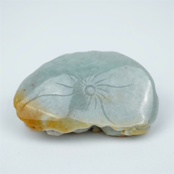 Cụ tỳ hưu cẩm huyết My (462879) KG+