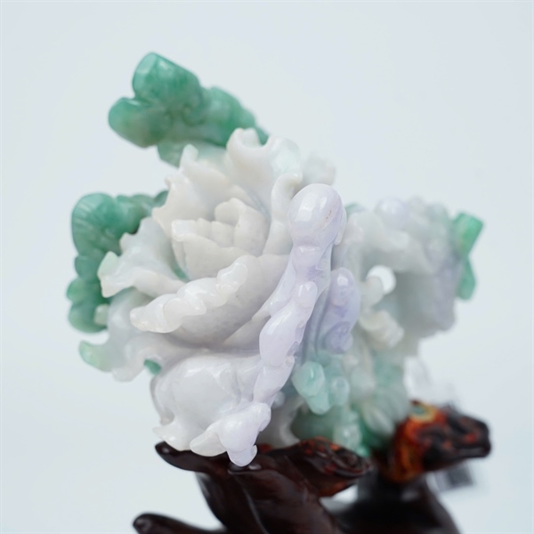 Tác phẩm bắp cải My kèm đế (996529) KG+