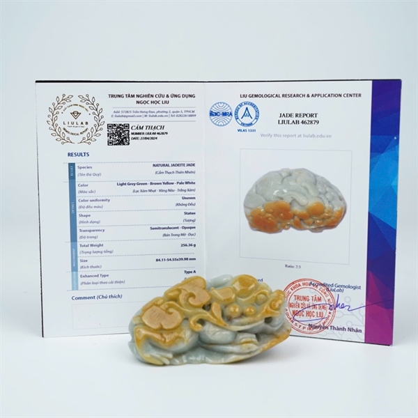 Cụ tỳ hưu cẩm huyết My (462879) KG+