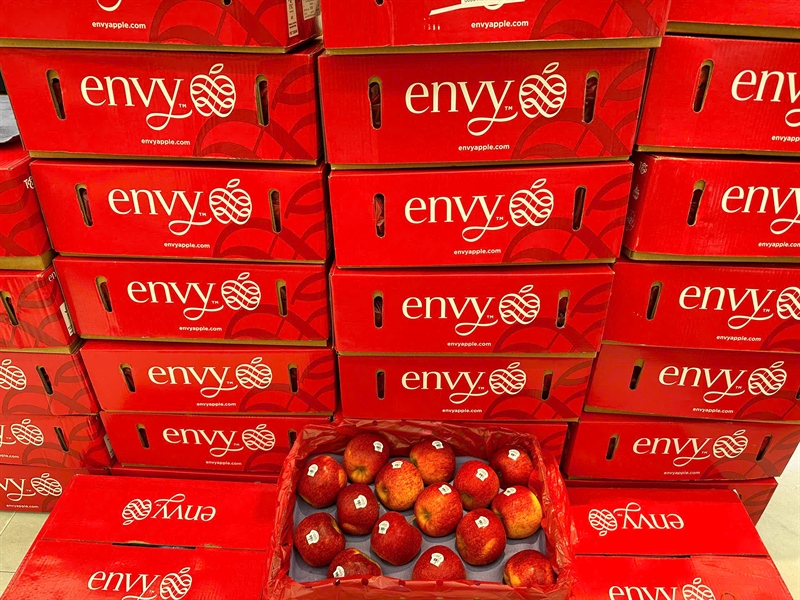 Táo Envy Mỹ Size 24