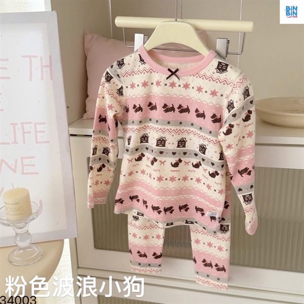 34003- Bộ HHN- Chó thổ cẩm