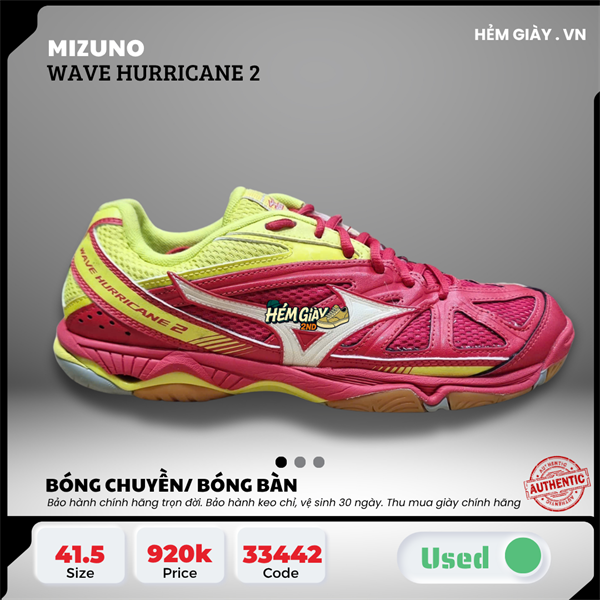 Mizuno Wave Hurricane 2