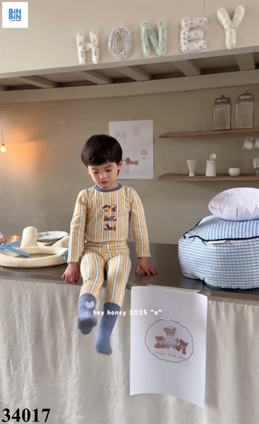 34017- Bộ HHN- 3 cún sọc vàng