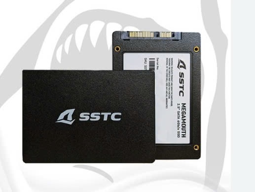 SSD 512GB SATA3 SSTC M110 (2Y)