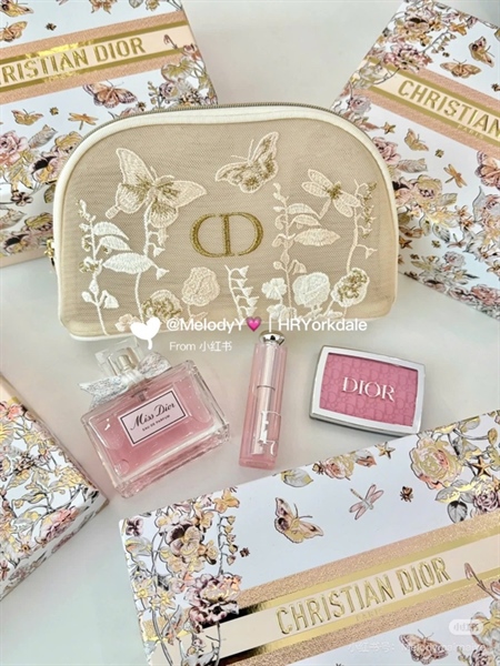 Túi Gift dior thêu cầm tay