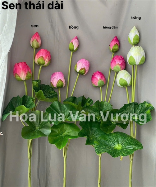 Sen thái dài 1 - Sen - Hoa Lụa Vân Vượng