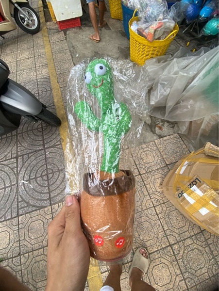 Đồ Chơi Cây Xương Rồng Nhảy Múa