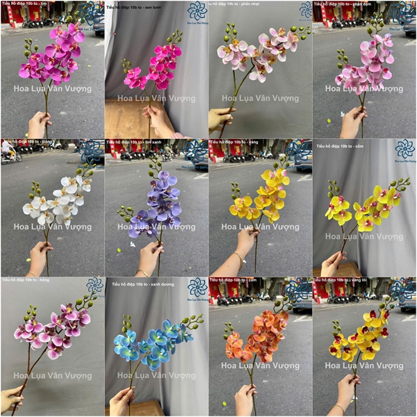 Tiểu hồ điệp 10b to - Hồ điệp, lan - Hoa Lụa Vân Vượng