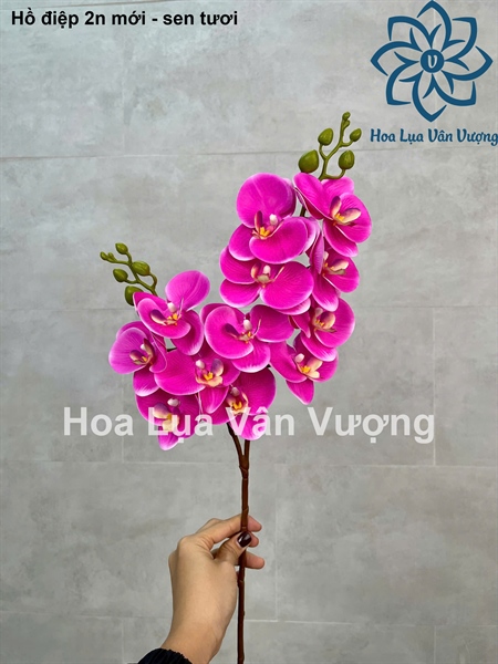 Hồ điệp 2n mới - Sen tươi - Hồ điệp, lan - Hoa Lụa Vân Vượng