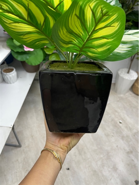 Bát vuông sứ - Lọ hoa - Hoa Lụa Vân Vượng