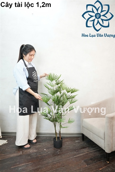 Cây tài lộc 1,2m có chậu - Cây - Hoa Lụa Vân Vượng