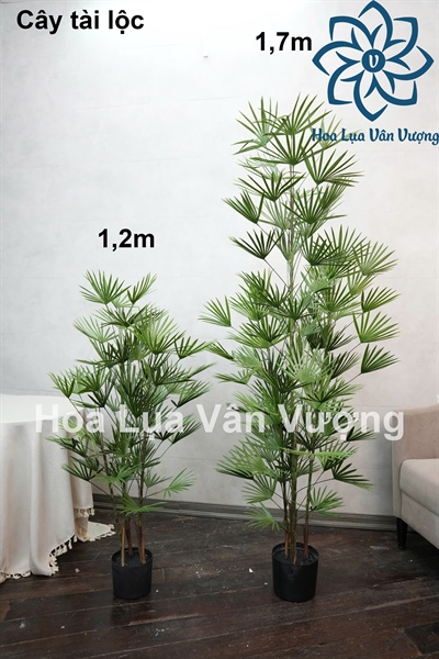 Cây tài lộc 1,7m có chậu - Cây - Hoa Lụa Vân Vượng
