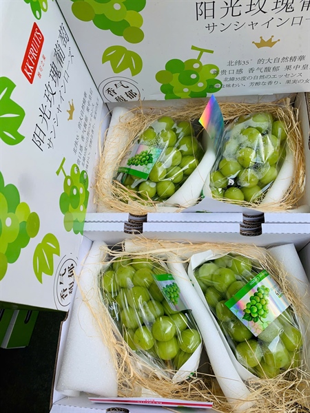 Nho Sữa Giống Nhật KK - Hộp 2 Chùm