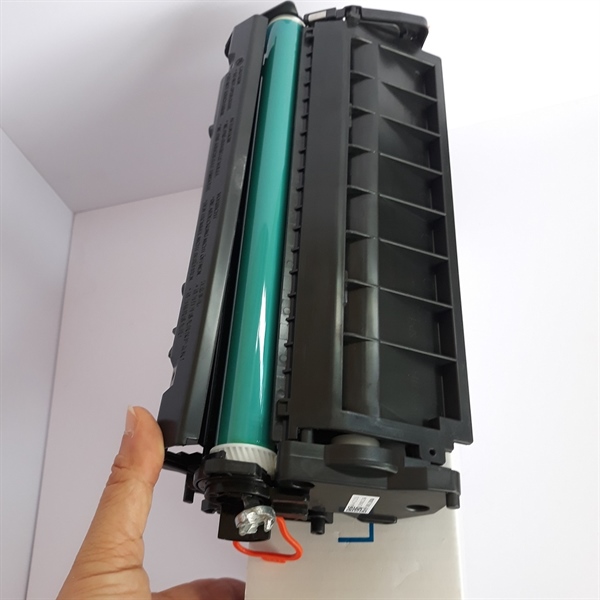 Giá kho - Mực hộp 05A/80A