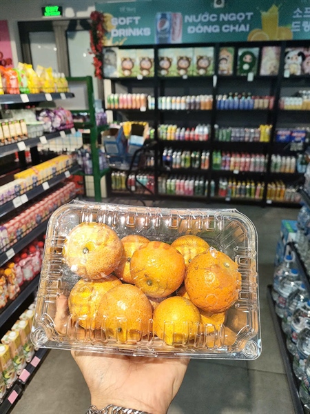 Quýt đường Vân Nam - Tangerine
