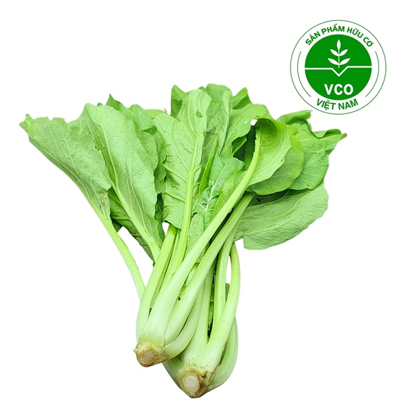 Cải ngọt baby Hữu cơ (Gói 250 g)