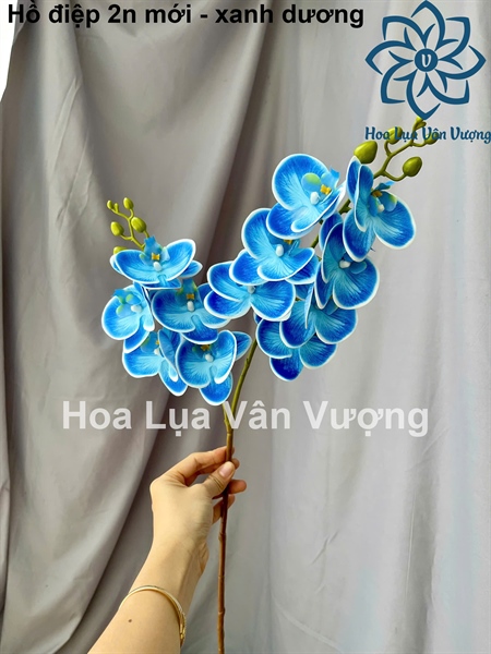 Hồ điệp 2n mới - Xanh dương - Hồ điệp, lan - Hoa Lụa Vân Vượng