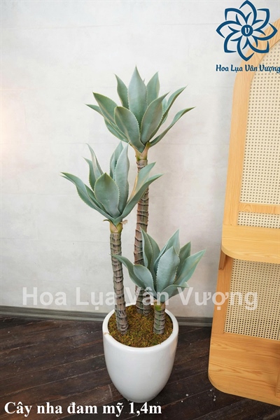 Cây nha đam nam mỹ 1,4m - Cây - Hoa Lụa Vân Vượng