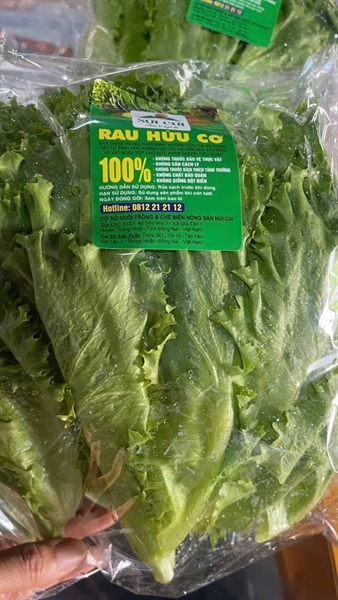 Xà lách hữu cơ Núi cúi