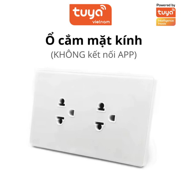 Ổ Cắm Mặt Kính Âm Tường (KHÔNG thông minh), Mặt Kính Cường Lực, Đồng Bộ Với Công Tắc TUYA