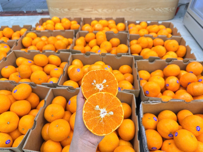 Quýt Chuẩn Úc 2PH