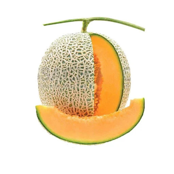 Dưa Lưới Ruột Cam TL3, Trái 1,3-1,6kg