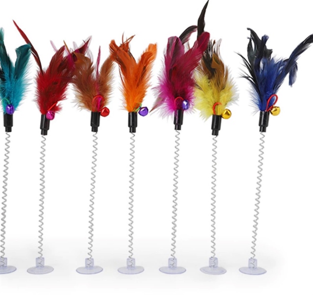 Lò xo lông vũ dính sàn