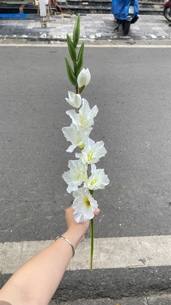 Hoa dơn - Trắng - Hoa cành dài - Hoa Lụa Vân Vượng