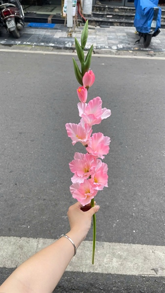 Hoa dơn - Phấn - Hoa cành dài - Hoa Lụa Vân Vượng