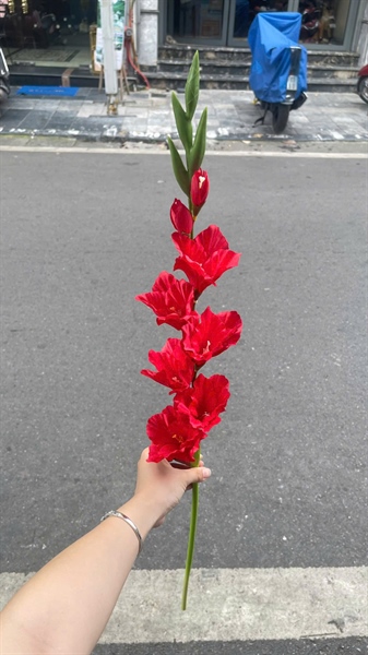 Hoa dơn - Đỏ - Hoa cành dài - Hoa Lụa Vân Vượng