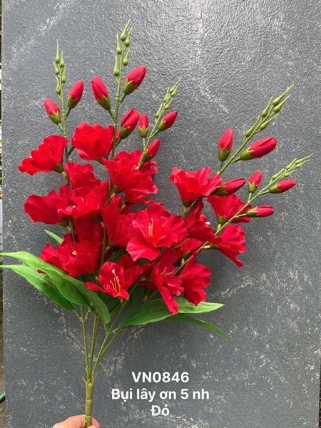 BỤI LÂY ƠN 5 NHÁNH CAO 45 cm VN0846