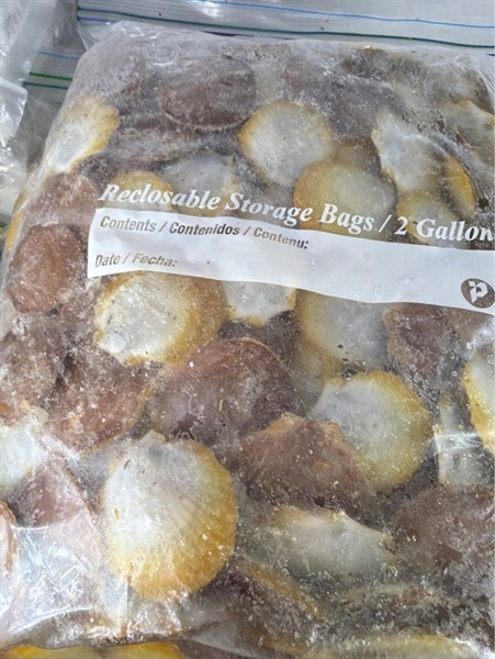 Sò Điệp (bịch 5lbs)