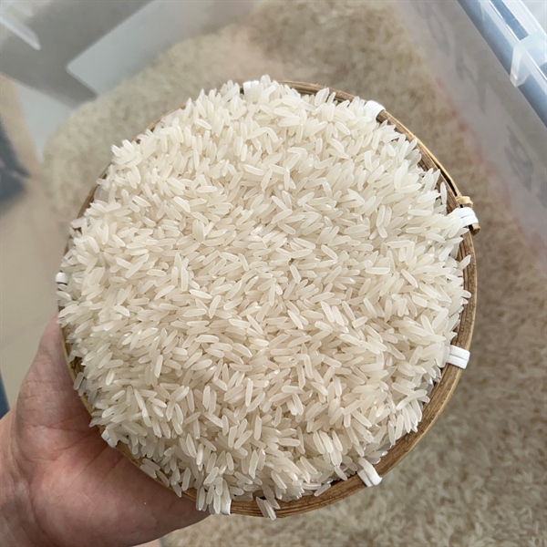 Gạo OM Thơm
