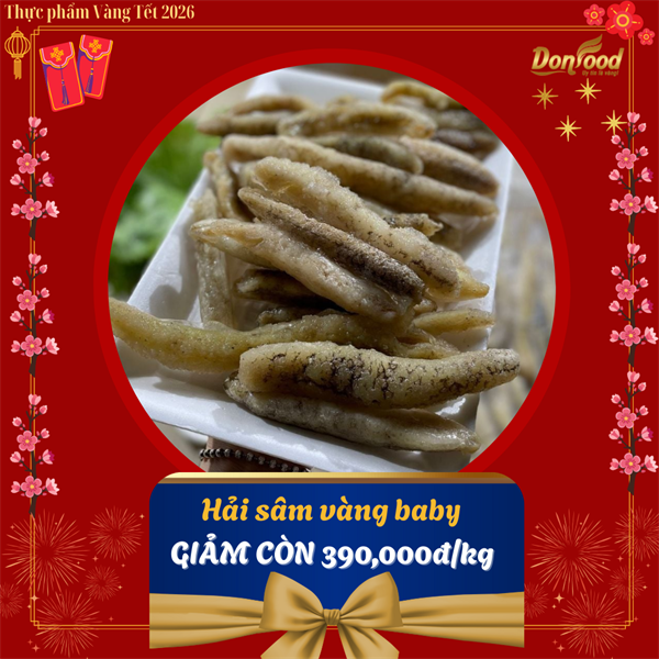 TẾT 2026 - Hải sâm vàng baby